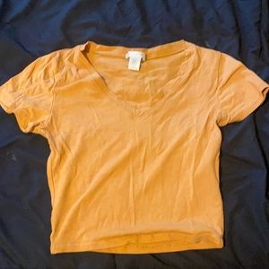 Burnt orange crop top, v neck